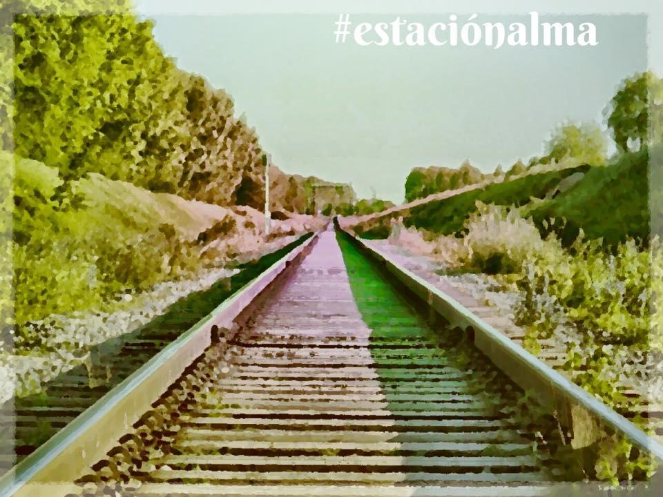 Hotel Rural La Estacion Del Alma Almazan Luaran gambar